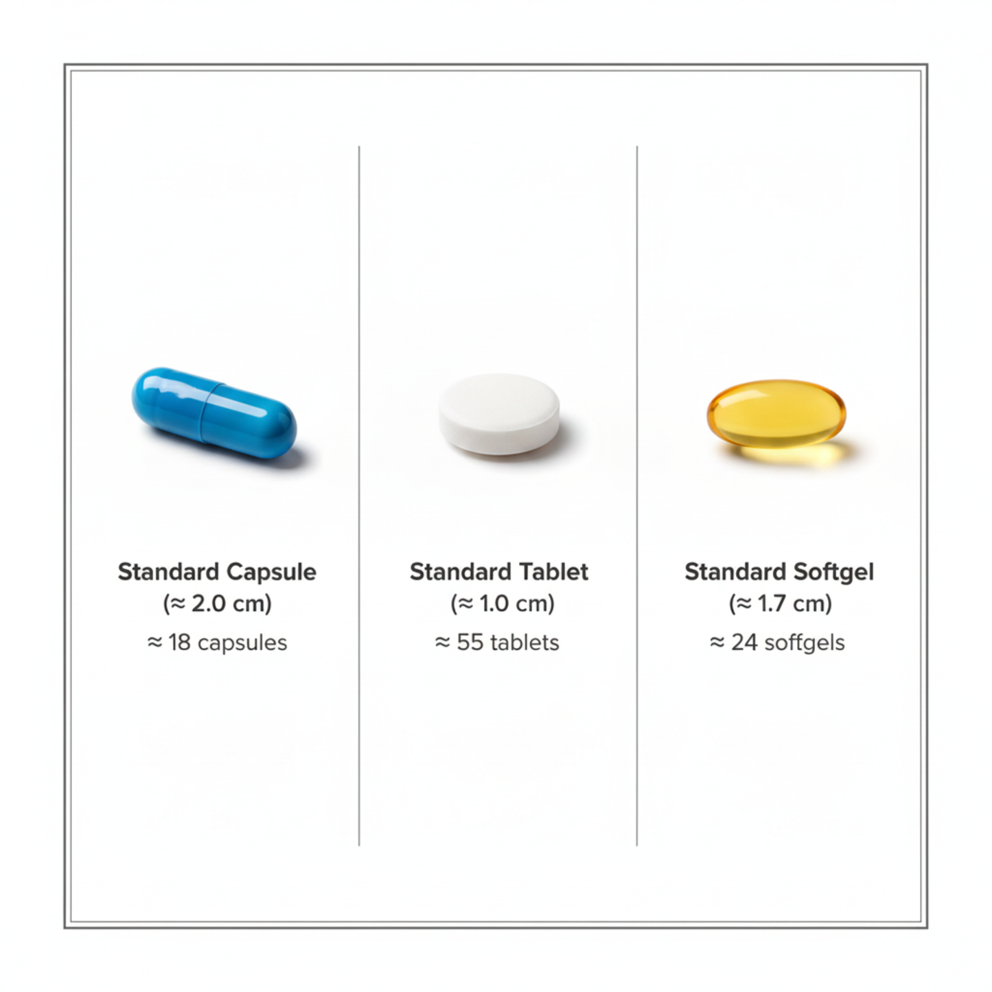 Premium Travel Pill Case